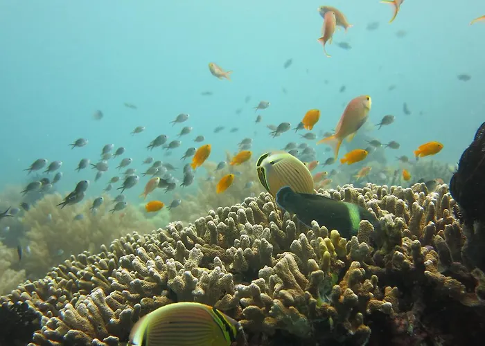 ホームステイ Oma In Bali ペムテラン